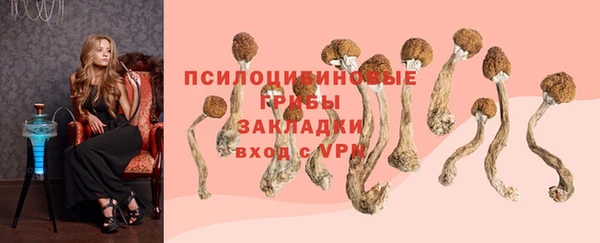 героин Козловка