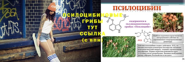 таблы Кодинск