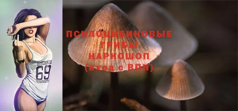 ОМГ ОМГ ССЫЛКА  где продают   Прокопьевск  Псилоцибиновые грибы Psilocybe 