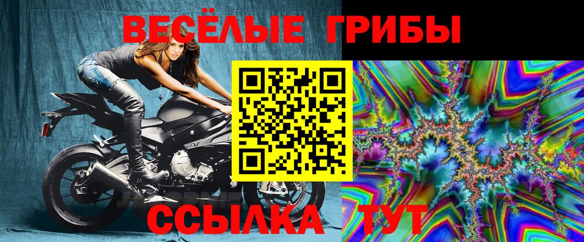 Галлюциногенные грибы Cubensis Прокопьевск