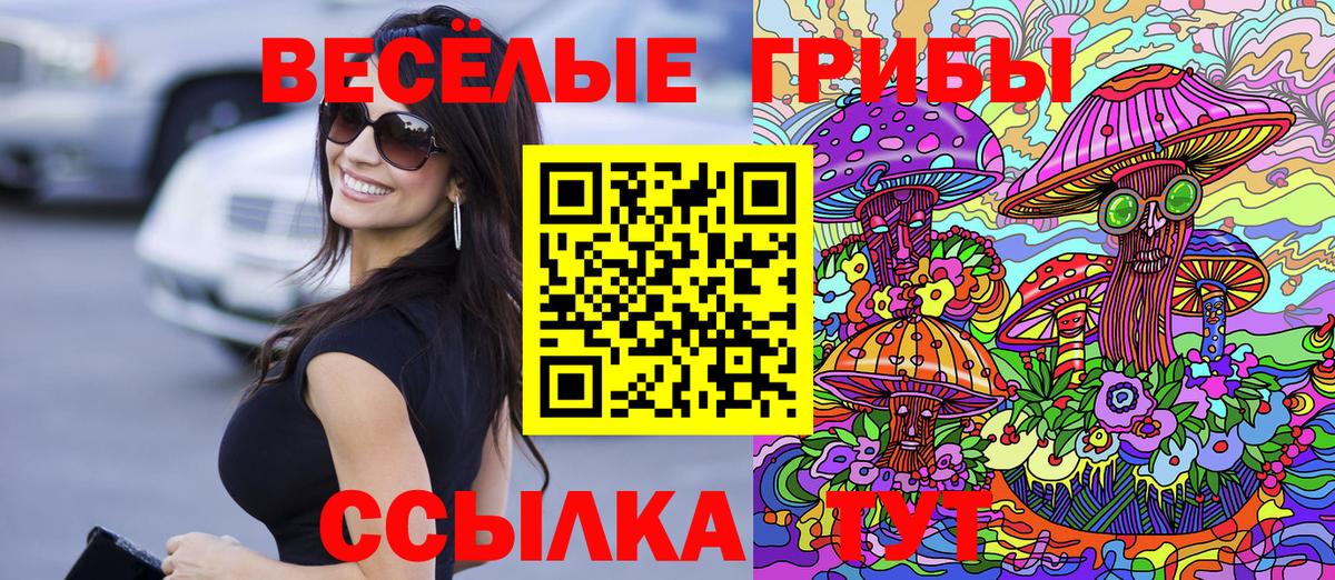 Галлюциногенные грибы прущие грибы  Вход с VPN  Прокопьевск 