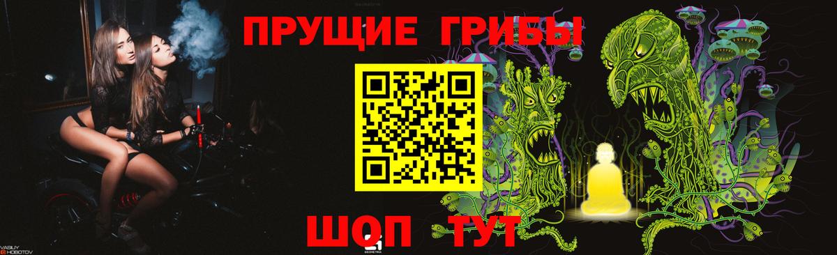 Галлюциногенные грибы Psilocybine cubensis Прокопьевск